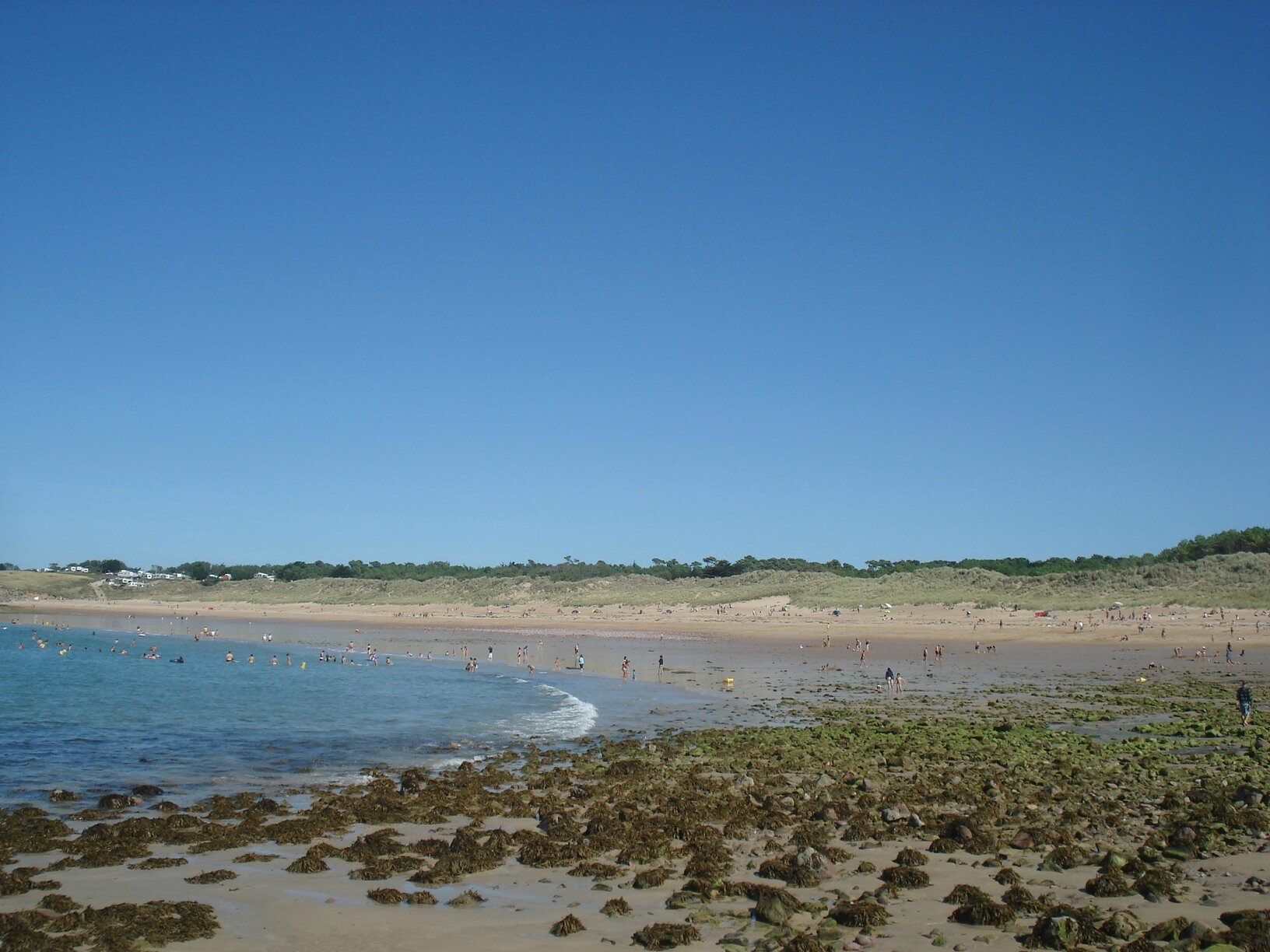 DSC06248