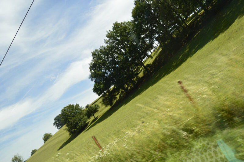 _DSC0059