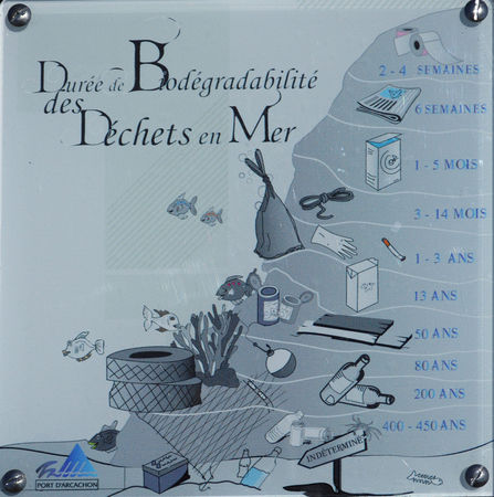 Dur_e_degradation_des_d_chets