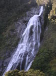 210407_Milford_sounds__145_