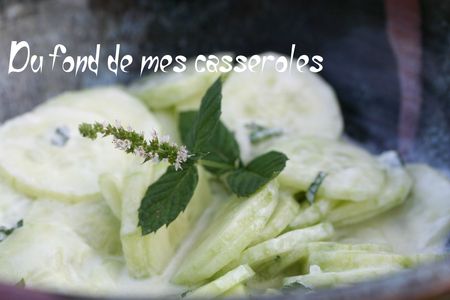 salade concombre menthe