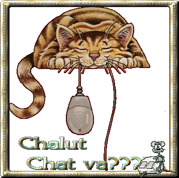 chalut_chat_va_aa7d54