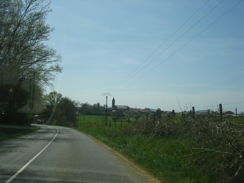 DSC06555