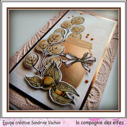 Carte bling bling DT LCDE (3)