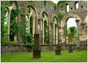 ruines_abbaye