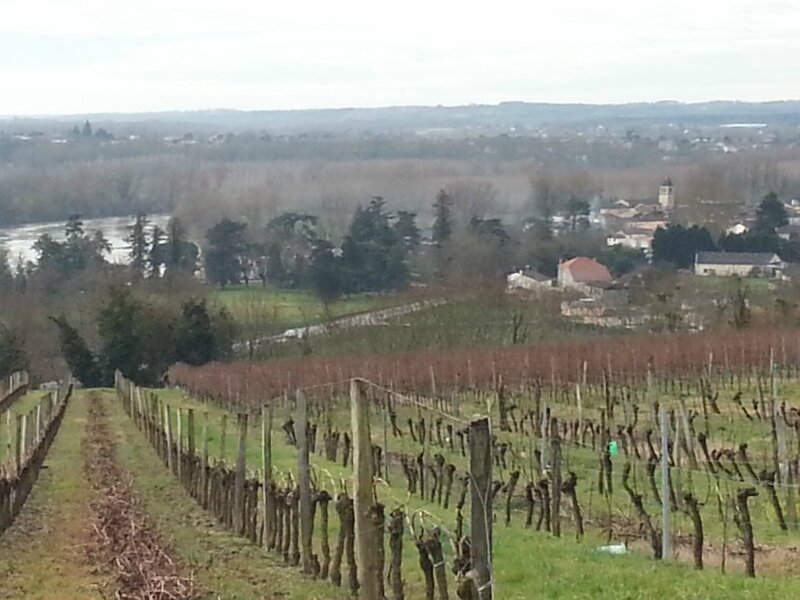Garonne et Caudrot 22 février 2014 (7)