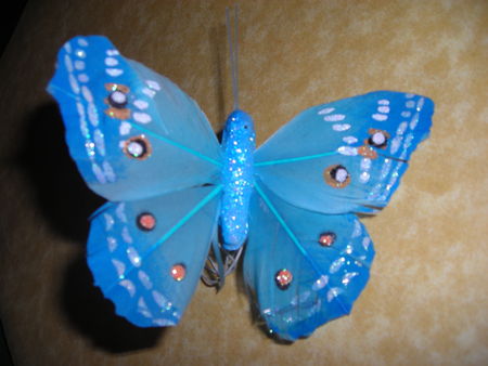 papillons_001