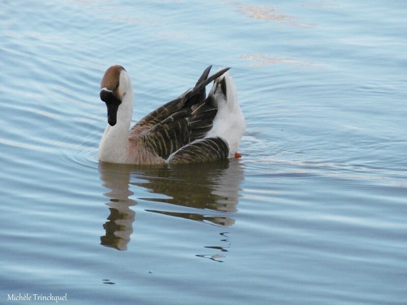 Lac de Tastoa 120118