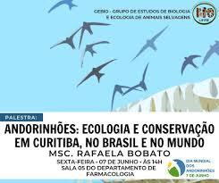 Brésil_conférence