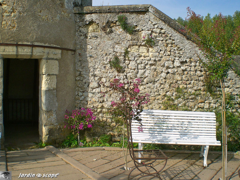 Banc de la Tour de l'âne à Valmer (37)
