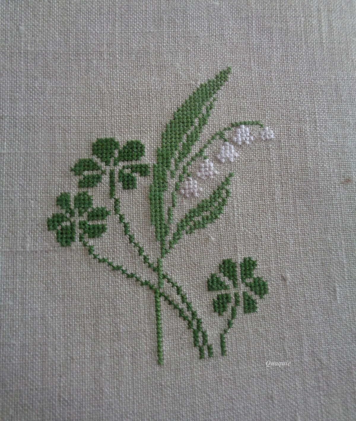 muguet Dany