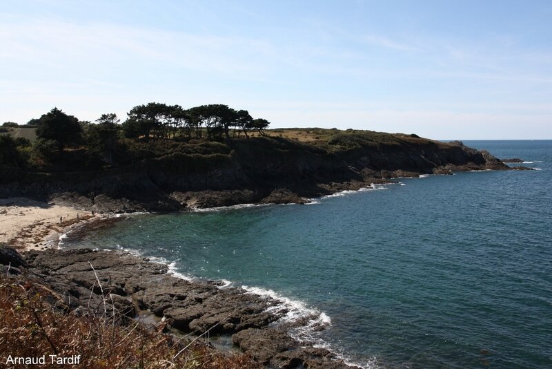 003016 Bretagne Saint-Coulomb - La Côte d'Emeraude - La Pointe du Nid et la Plage du Petit Port