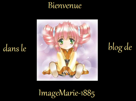 montage_blog_marie_2