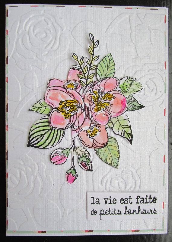 7 - Scrapminouche