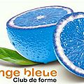 Devenez entrepreneur grâce à L’<b>Orange</b> <b>Bleue</b>