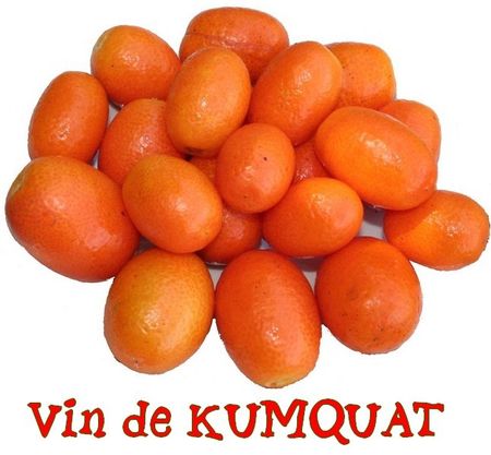 vin_de_kumquats_tit