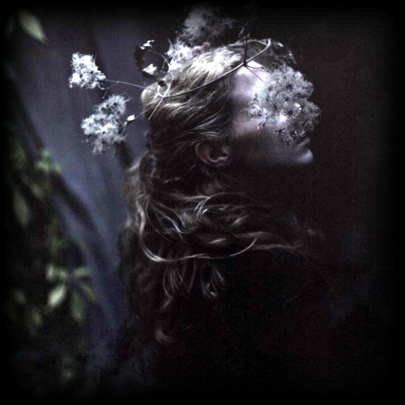 Katia Chausheva Photography11,