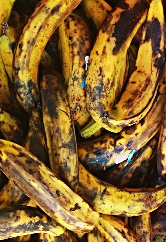 bananes plantain