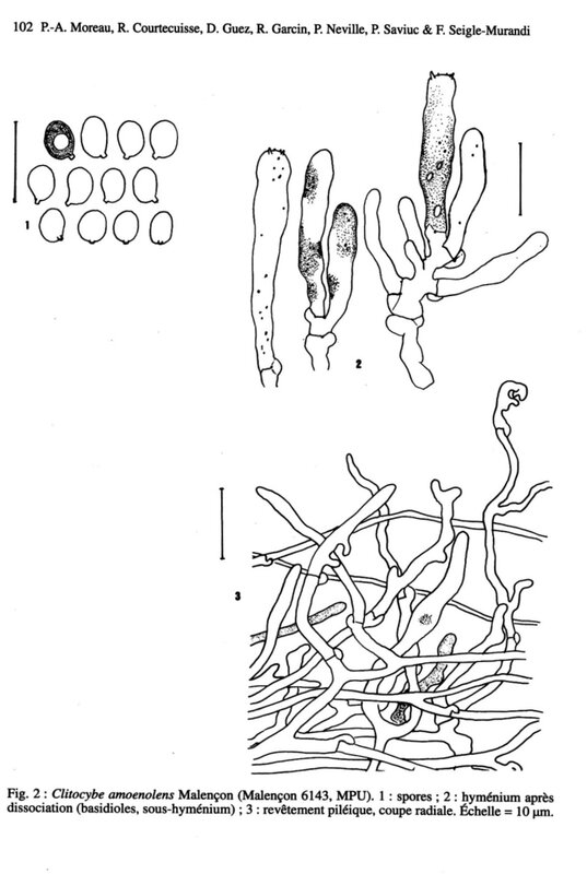 Moreau et al 102