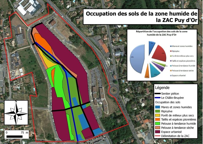 Occupation des sols de la zone humide la Zac Puy d'Or plus lisible