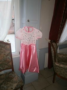 robe princesse Prune 20111130 011 A