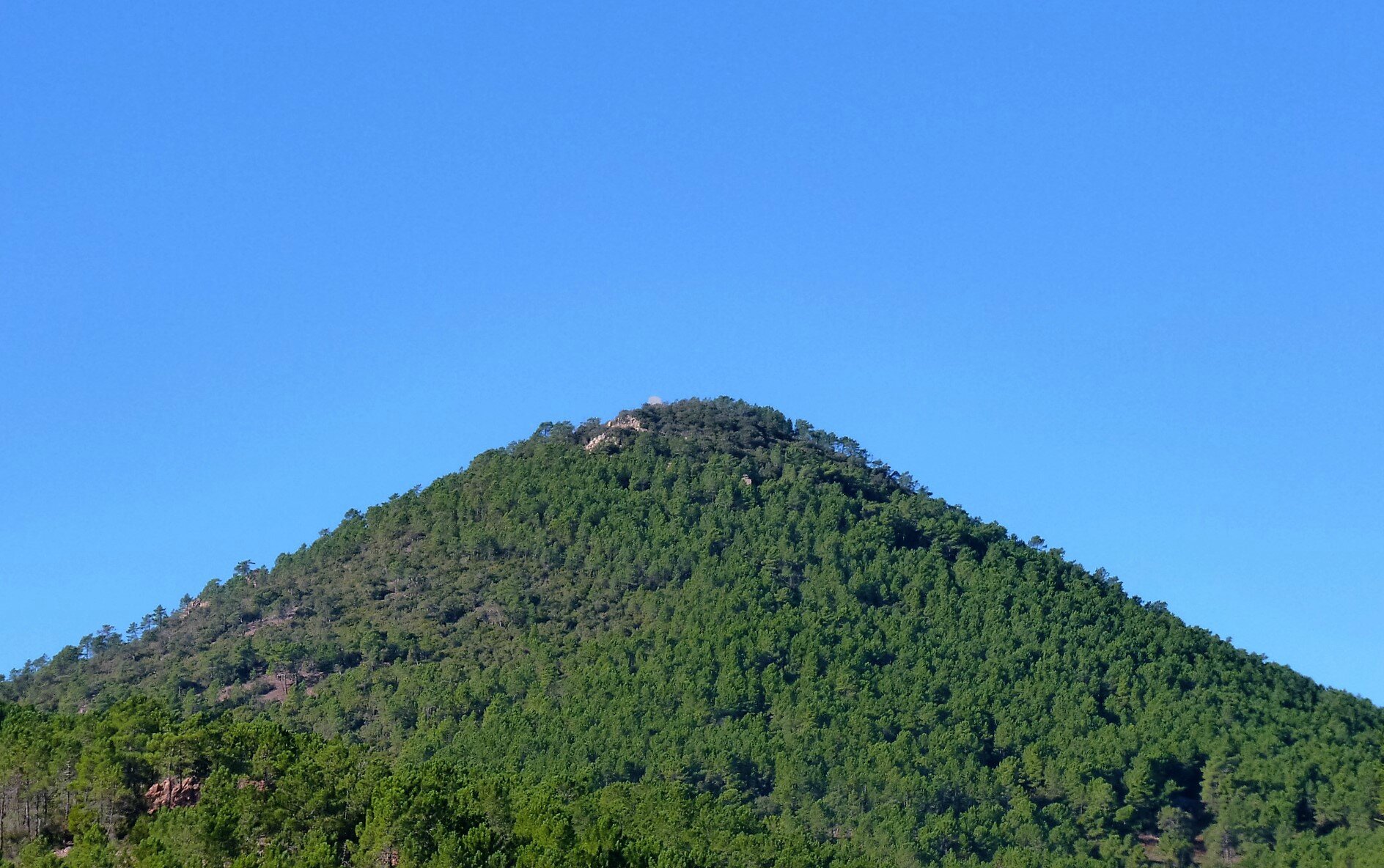 P1110081