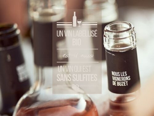 150-XL-est-ce-que-le-vin-bio-contient-des-sulfites-