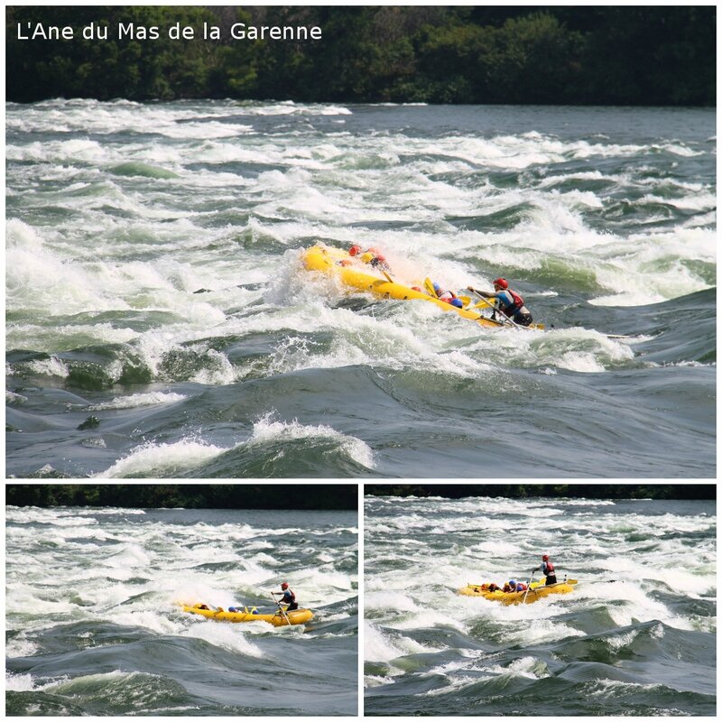 rafting_2014_08_031