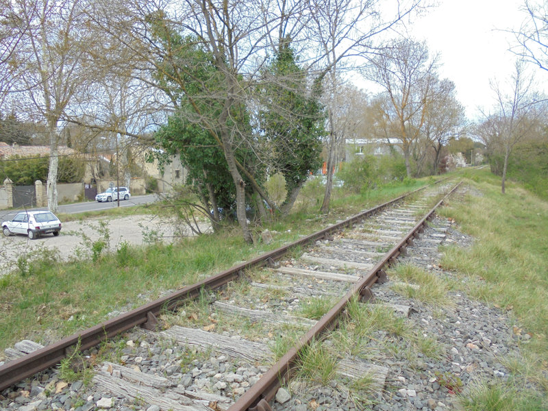 DSC04541