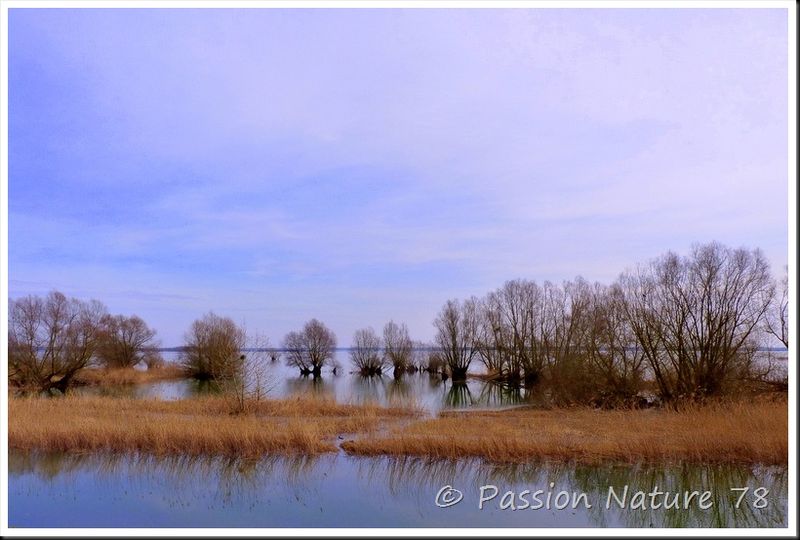 Lac de Der-Chantecoq