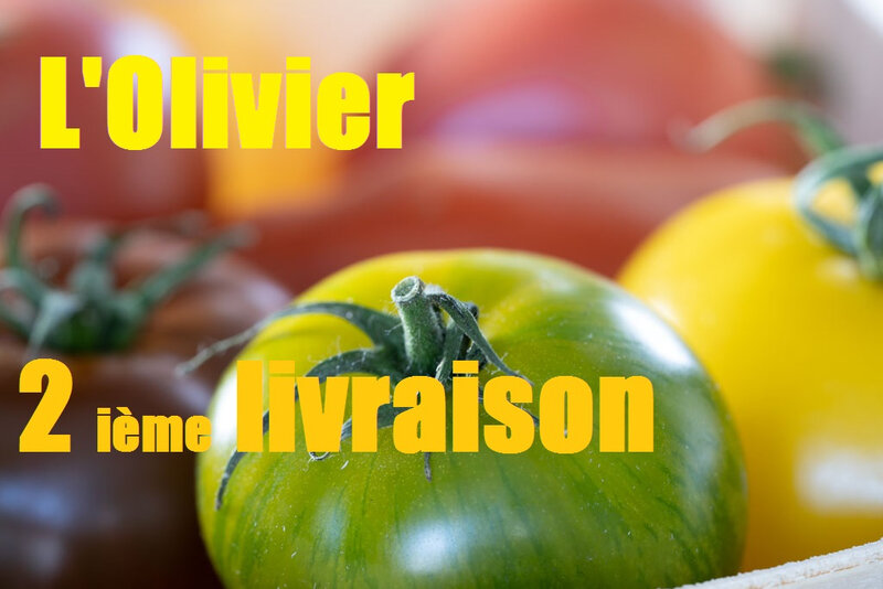JATTEND-fruits-legumes olivier 2