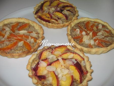 Tartelettes_abricots_et_nectarines_aux_noisettes__mond_es_031