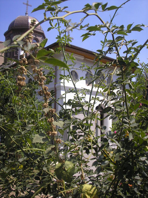 P8050035