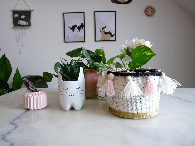 cachepot01