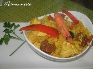 Poulet__pic__massal__curcuma__poivrons_rouges_riz_et_chorizo_024