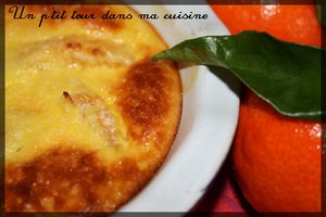 Gratin_cl_mentine_noix_de_coco2