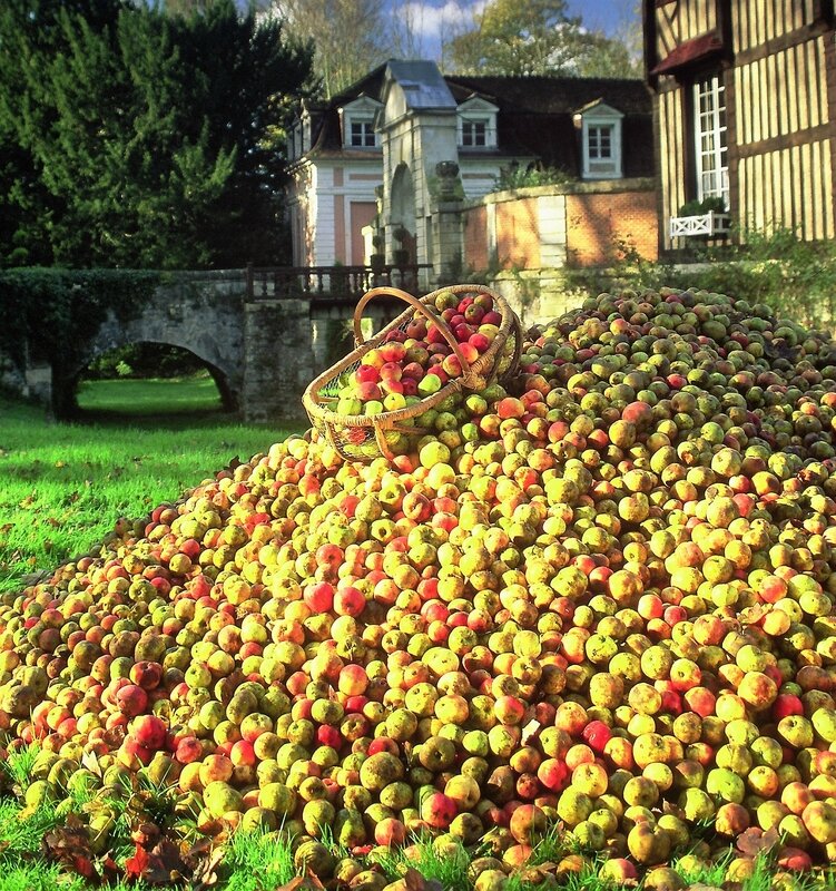 pommesChâteauduBreuil (2)