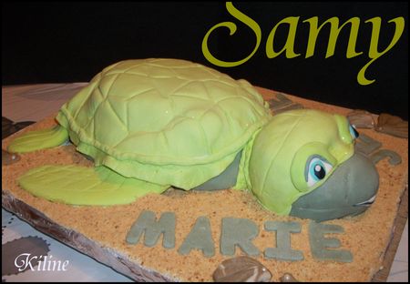 tortue_samy_19