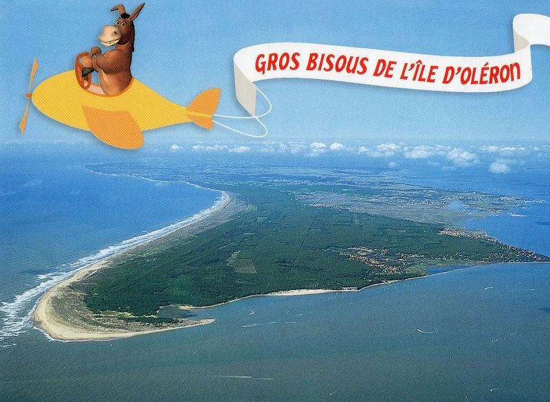 Dans le ciel de l'île d'Oléron (17)