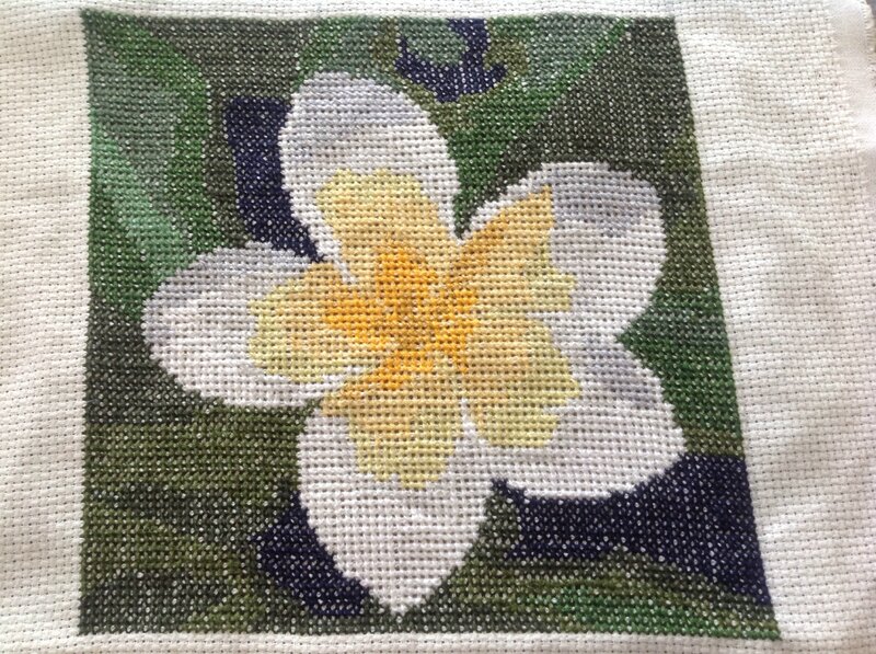 josette G frangipanier