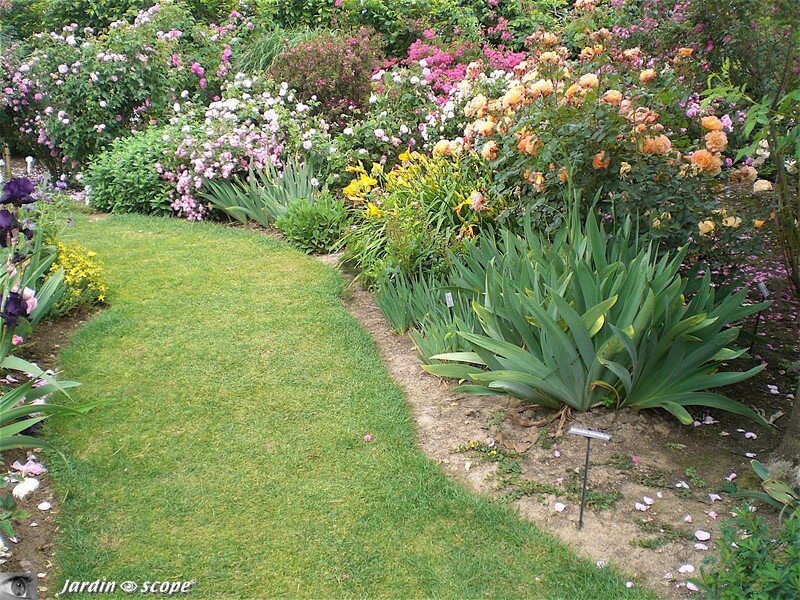 Visite du nouveau jardin…