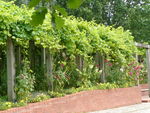 P1020590