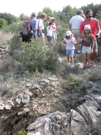 sortie_garrigues_basses_26_sept_2009_011