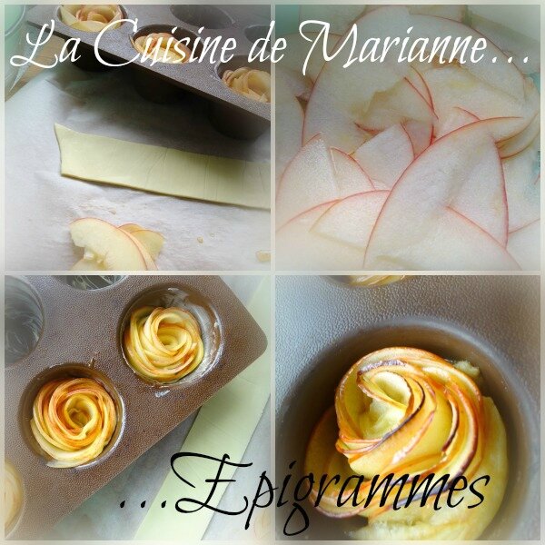 ROSE POMME02