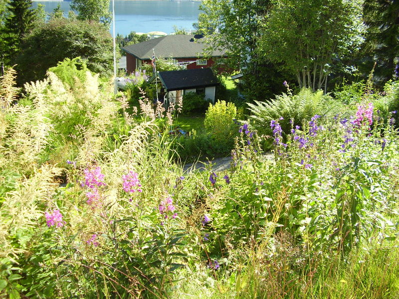24-08-08 Sortie Vélo Tromso (059)