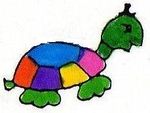 tortue_droite