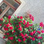 2013-07-0718