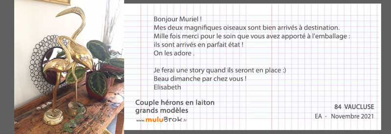 21-11-OISEAUX-LAITON-muluBrok