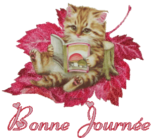 bonne_journ_e_chat_1