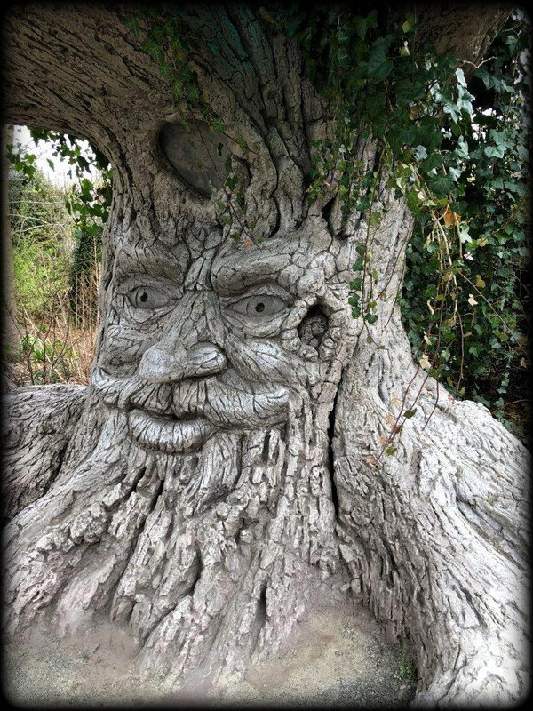 homme arbre2